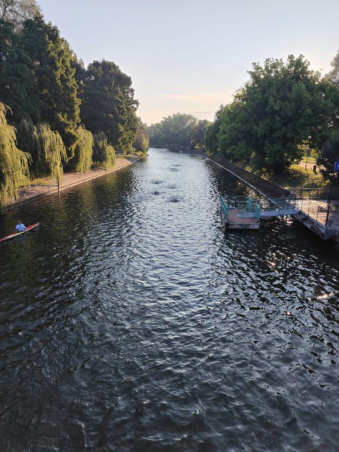 Temesvár Triatlon 2025 féltáv - úszás a Begában